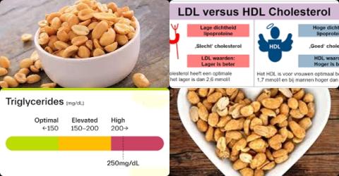Pinda en cholesterol.jpg
