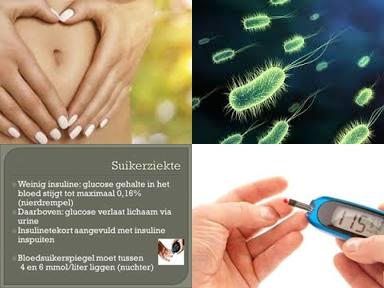 Probiotica en nuchter glucosegehalte.jpg
