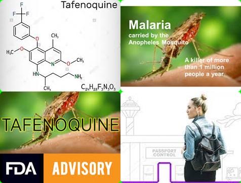 Tafenoquine and malaria.jpg