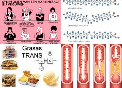 Transvetzuren en hartziekten.jpg