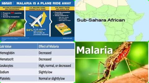 Travel and malaria.jpg