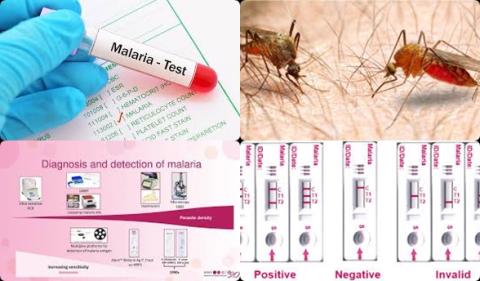 Ultrasensitive malaria rapid diagnostic tests and malaria.jpg