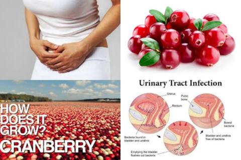 Urineweginfectie en cranberry.jpg