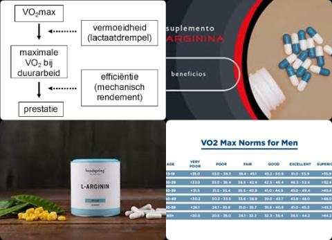 VO2 max en arginina.jpg