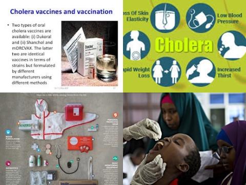Vaccination and cholera.jpg
