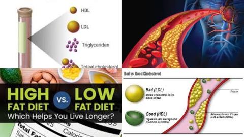 Vetarm dieet en cholesterol.jpg