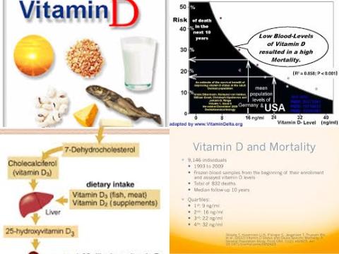 Vitamin D and mortality.jpg