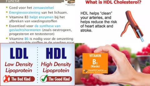 Vitamine B3 en cholesterol.jpg