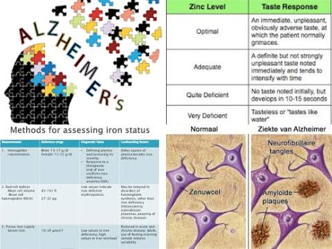 Zink en Alzheimer.jpg