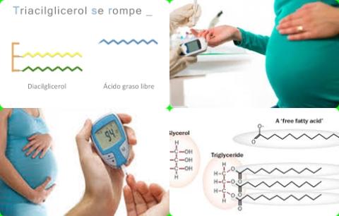 Zwangerschapdiabetes en vrije vetzuren.jpg