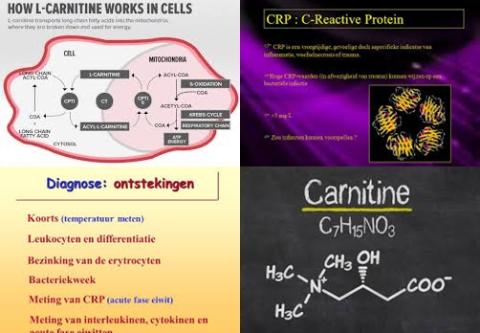 carnitine en CRP.jpg