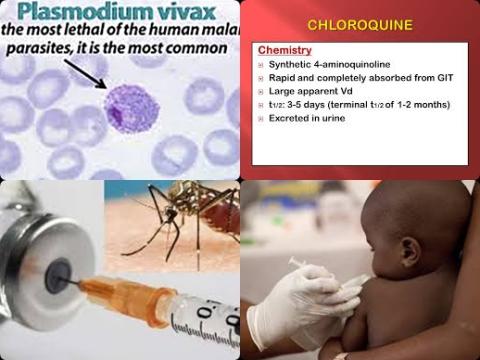 chloroquine primaquine and Plasmodium vivax malaria.jpg